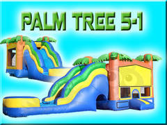 Palm Tree 5-1 Palm Tree 5-1